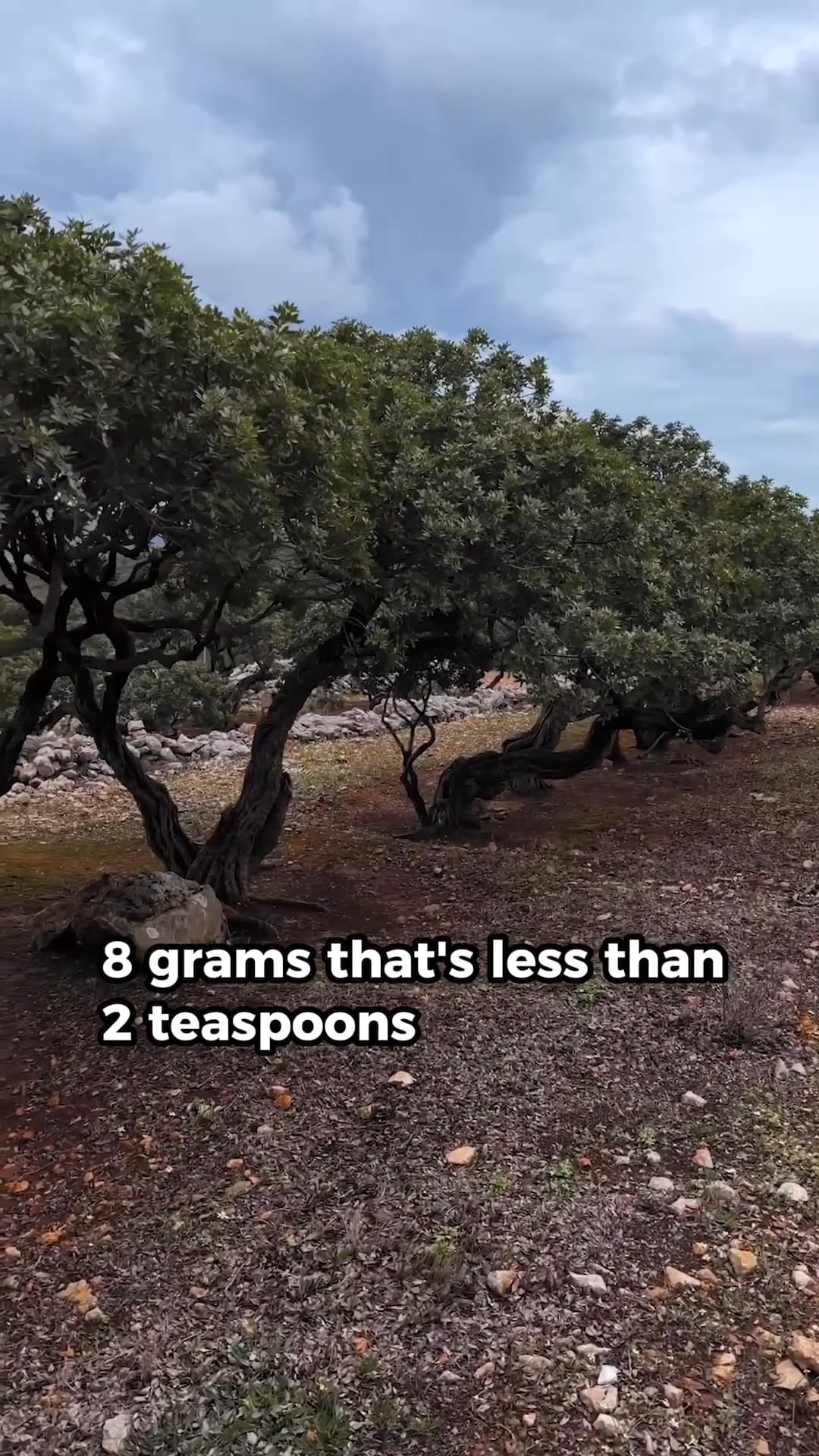 Founder video cover, mastic resin groves