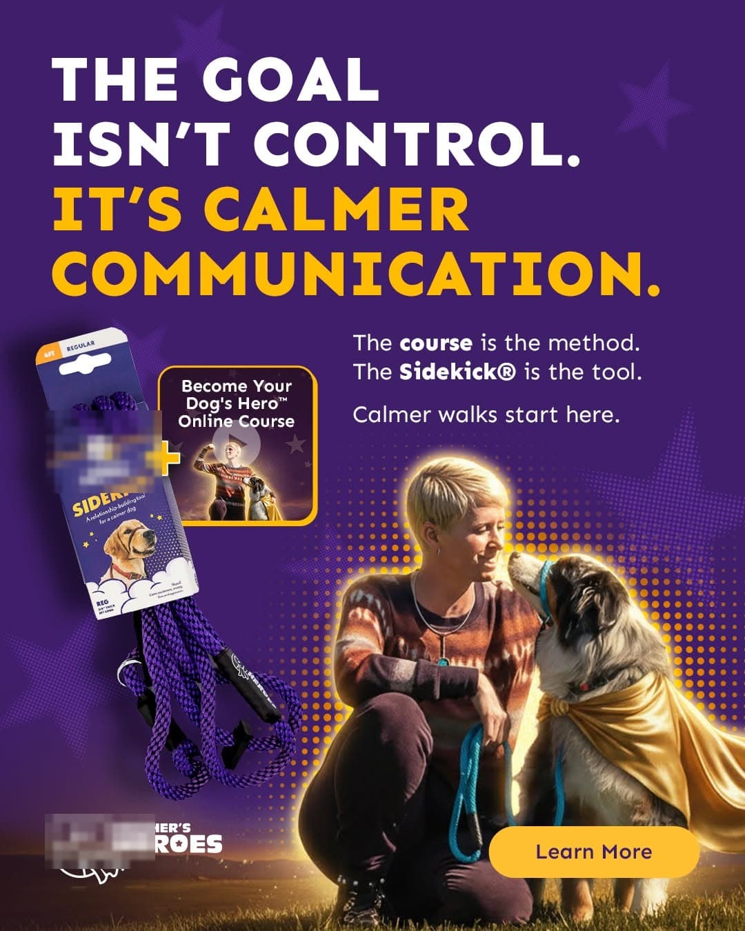 Leash and training course bundle ad
