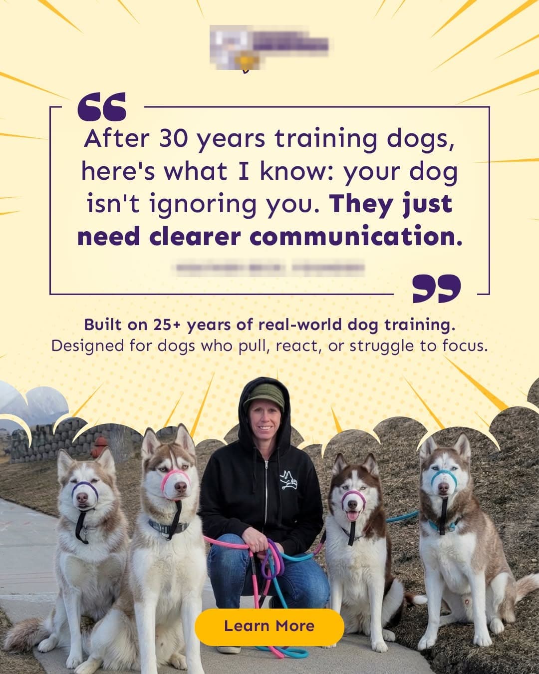 Founder quote ad with four huskies