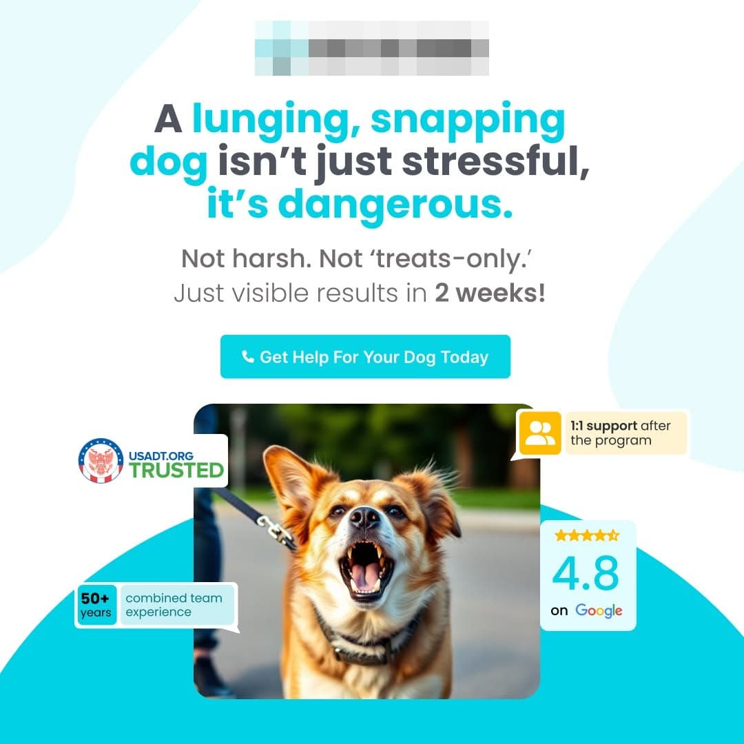 Training ad about reactive dogs with visible results in 2 weeks