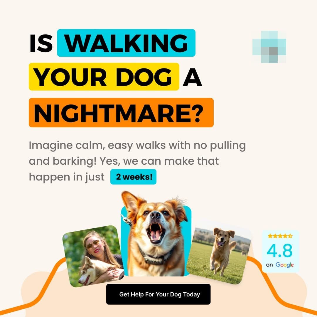Training ad asking if walking your dog is a nightmare