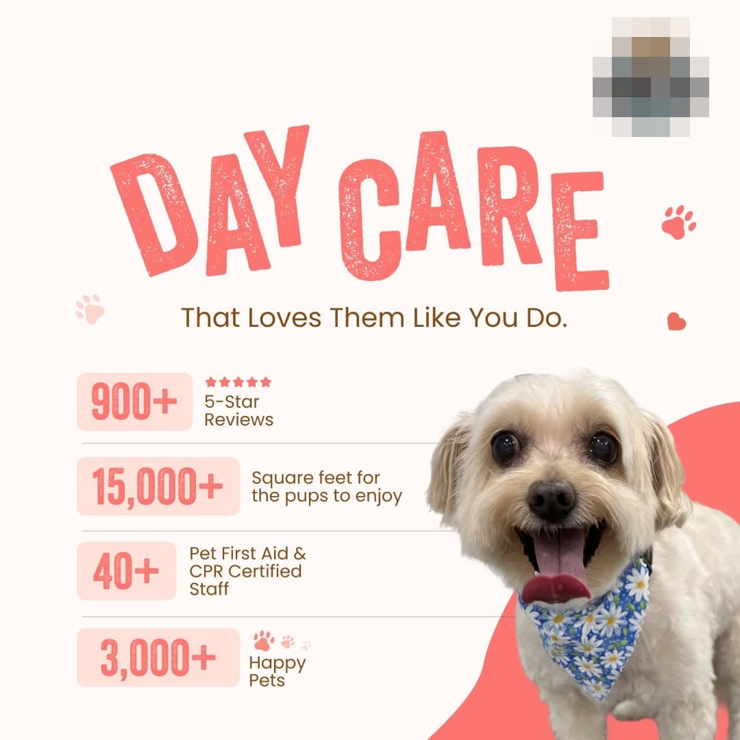 Daycare ad listing reviews, square footage, and certified staff
