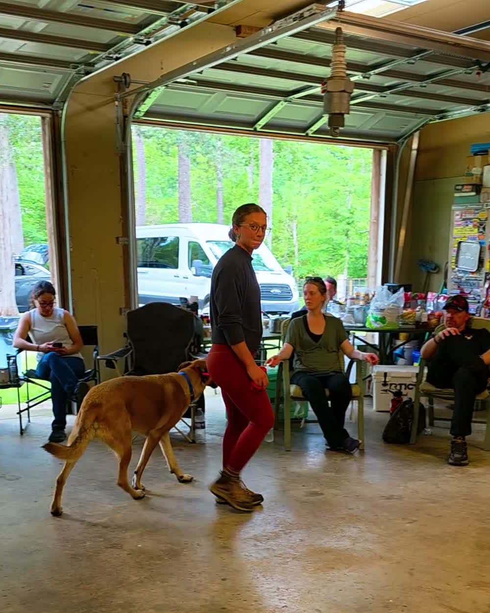 Handler walking a dog at heel in front of a training class