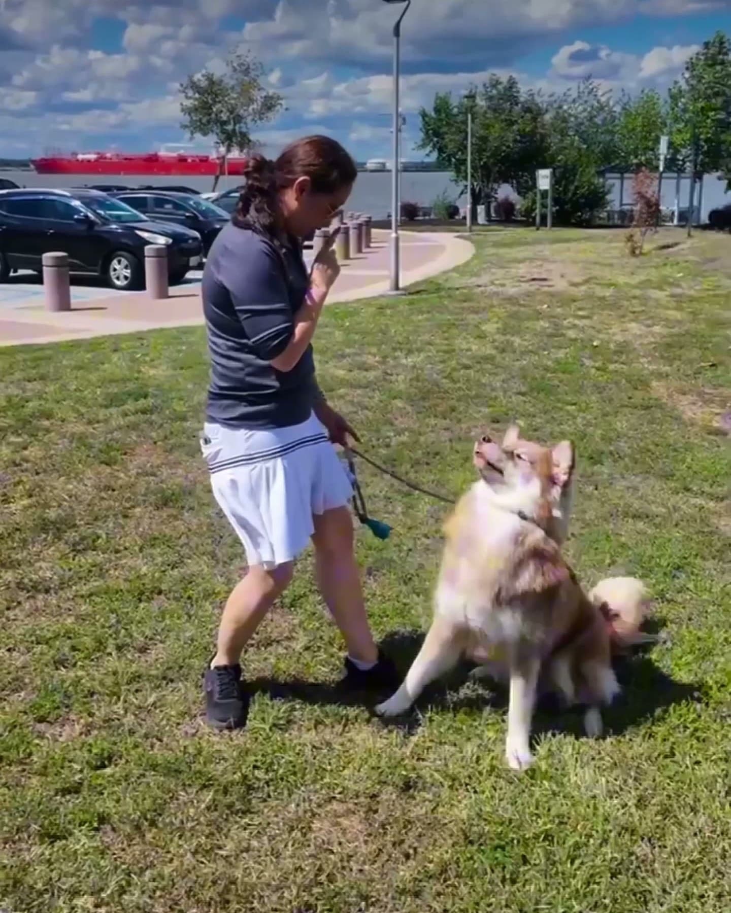 Trainer working with a husky on recall in a waterfront park