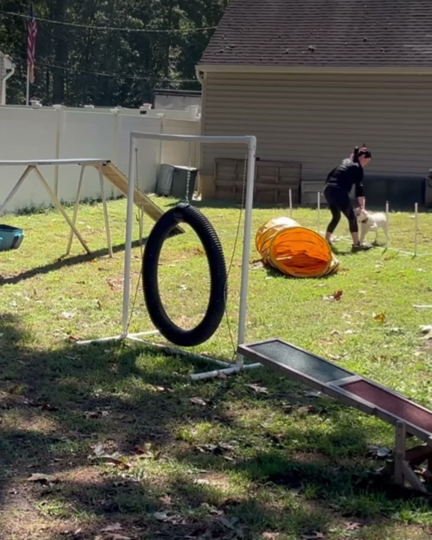 Trainer running a dog through the agility yard