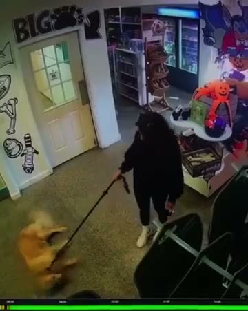 Lobby camera video of an excited dog arriving at daycare